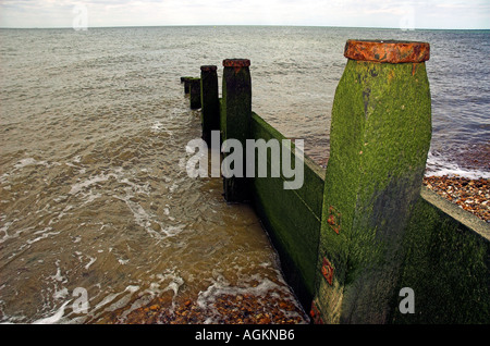 En bois ancien épi à whitstable beach dans le nord du Kent Banque D'Images