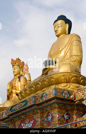 Statues en or bouddha park. Bouddha Amida park. Stupa de Swayambhu, Katmandou Népal Banque D'Images