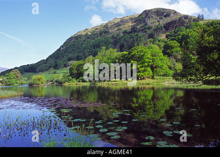 Avis de Nab cicatrice reflète dans Rydal Water Cumbria Banque D'Images