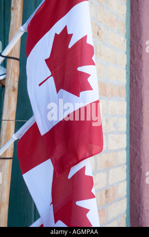 Les drapeaux sur la rue principale à Collingwood (Ontario) Canada Banque D'Images