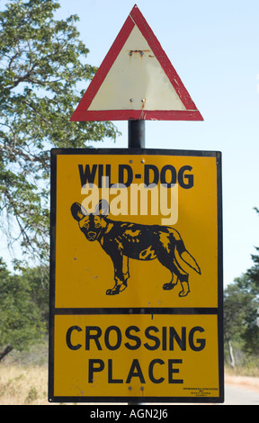 Le parc national de Hwange, Zimbabwe Banque D'Images