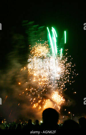 Une foule de personnes regardant un feu d'artifice Banque D'Images