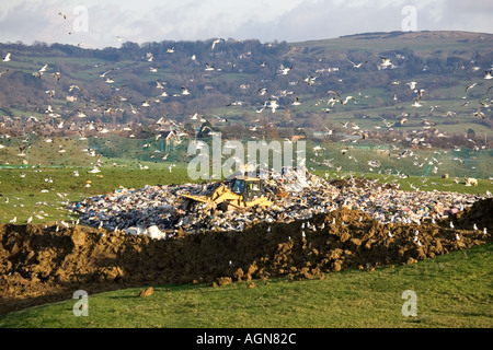 Bulldozer travaillant sur le site d'enfouissement dans Wingmoor Cotswolds Cory UK l'environnement agricole Banque D'Images