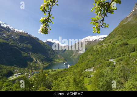 Vue panoramique sur le Geirangerfjord à partir d'un point de vue colline Norvège Geiranger Banque D'Images