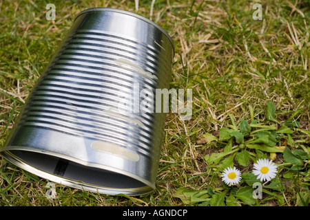 Boîte de conserve broyées jetés sur le sol à côté d'une fleur Banque D'Images