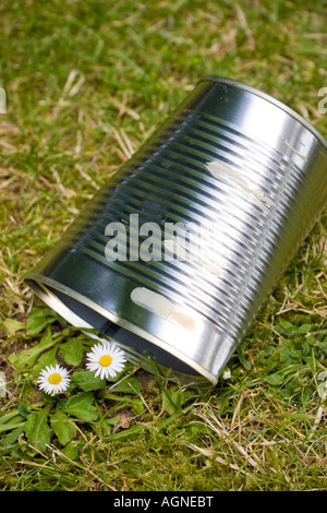 Boîte de conserve broyées jetés sur le sol à côté d'une fleur Banque D'Images