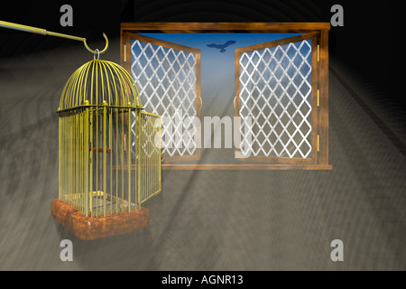 Ouvrez la cage avec rayons pénétrant par une fenêtre Banque D'Images