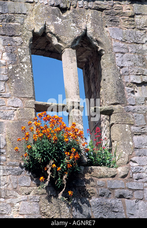 Caldicot Castle Caldicot Monmouthshire de Newport au Pays de Galles Banque D'Images