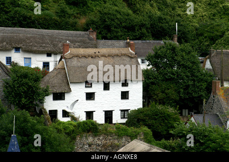 Chaumière sur Grange Hill Cadgwith cove Cornwall England United Kingdom Europe portrait Banque D'Images