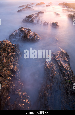 Les rochers et la marée montante d'un détail de la baie de Croyde Devon, Angleterre Banque D'Images