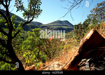 Tôt le matin, voir au-dessus de la Gibb River Road, Outback Australie Occidentale Banque D'Images