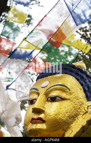 Golden buddha visage et les drapeaux de prières. Stupa de Swayambhu, Katmandou, Népal Banque D'Images