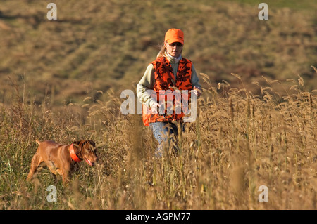 Point sur Vizsla devint au cours de test de chasseur Junior avec femme-Chien braque de l'épreuve de chasse Club Boiling Springs Florida Banque D'Images