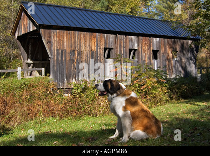 St Bernard Pont couvert en Arkansas Banque D'Images