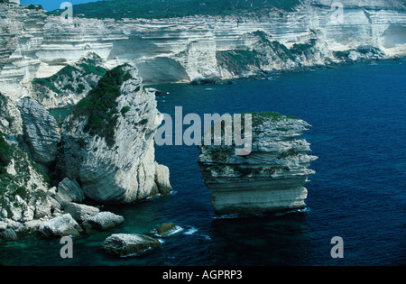 Craie Côte / Kreidefelsenkueste Banque D'Images