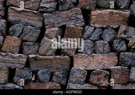 Des piles de la tourbe Torf / Torfsoden / Gestochener Banque D'Images