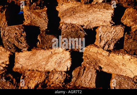 Des piles de la tourbe Torf / Torfsoden / Gestochener Banque D'Images