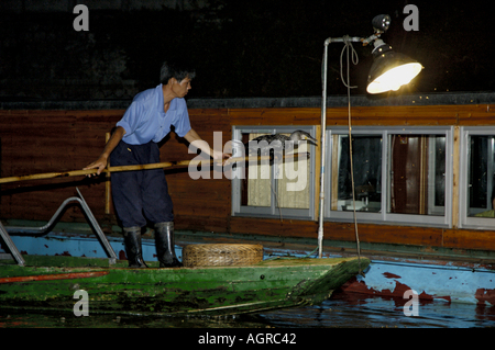 Démonstration de pêcheur son emploi pour les touristes la nuit, de la rivière Li, Yangshuo, Guangxi, Chine. Banque D'Images