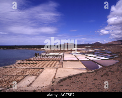 Dh SALINAS DE JANUBIO LANZAROTE Salinisation sel de mer de l'usine champs appartements Banque D'Images