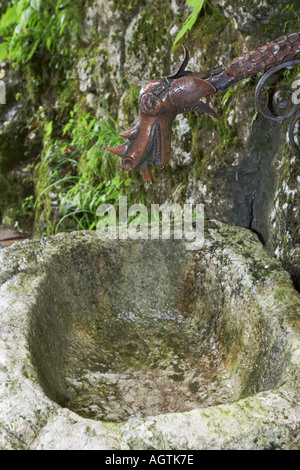 Source d'eau potable dans le village de Hallstatt. Salzkammergut. L'Autriche. Banque D'Images