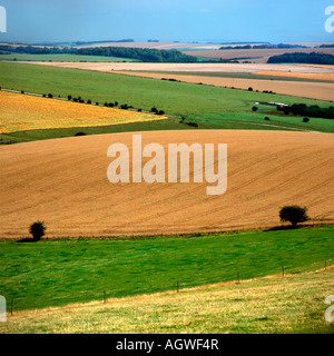 Un paysage du Wiltshire au moment de la récolte Banque D'Images