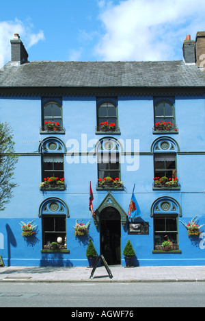 Machynlleth close up of gallery locaux avec de fleurs sur les rebords de fenêtre Banque D'Images