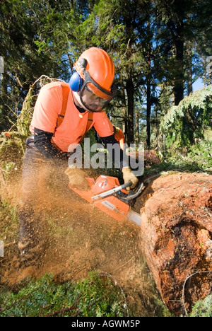 Un sentier de l'équipage de la Vallée Qu'aas West Coast Trail Group efface la côte ouest de la Colombie-Britannique Trail après de graves dommages causés par les tempêtes d'hiver Banque D'Images