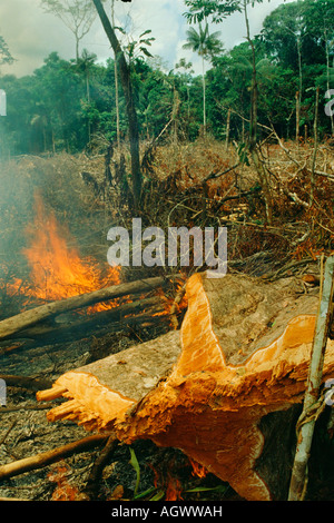 Agriculture sur brûlis : forêt brûlée pour la culture dans la région amazonienne, Acre, Brésil. La combustion de la biomasse produit du dioxyde de carbone, qui contribue grandement à l'effet de serre et au réchauffement de la planète. Banque D'Images