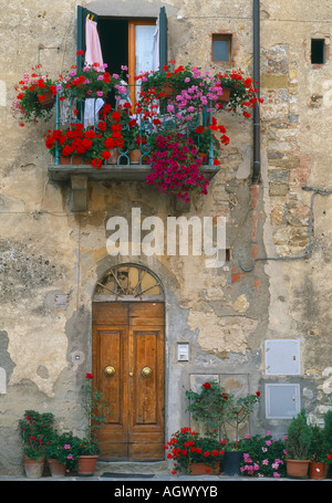 Portes et fenêtres fleuris Castellina in Chianti Chianti Toscane Italie Banque D'Images
