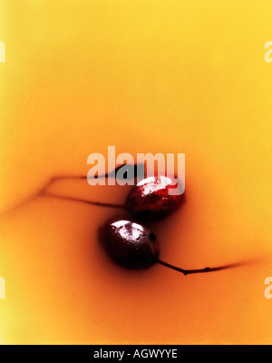 La vie toujours avec deux prunes sauvages Banque D'Images