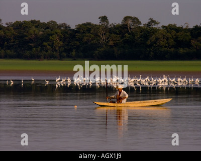 L'habitant de Riverside (ribeirinho) pêche dans la saison sèche sur le lac, rivière Solimoes Piranha. Les aigrettes blanches sur la plage. Banque D'Images