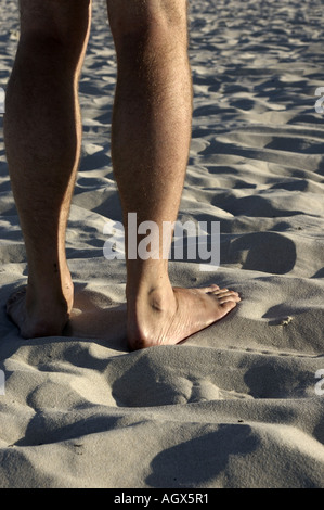 Bas des jambes et les pieds sur le doux sable d'une belle plage de sable blanc de la côte en Suède Banque D'Images