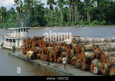 Déforestation : Péniche chargée de grumes dans l'estuaire de l'Amazone. Île de Marajo, Para, Brésil. Banque D'Images