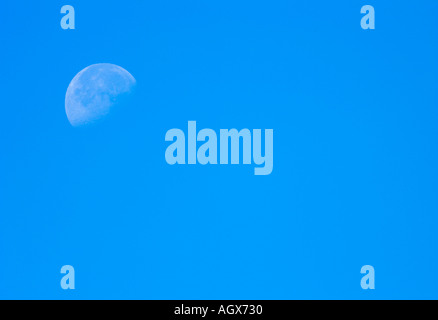 La lune contre tôt le matin, ciel bleu welney Norfolk Banque D'Images