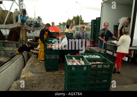 Poisson frais d'être débarqué et pesées sur quai de Quistreham près de Caen dans le Nord de la France Banque D'Images