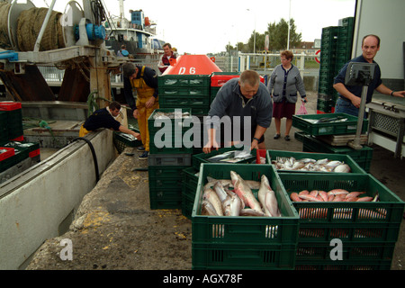 Poisson frais d'être débarqué et pesées sur quai de Quistreham près de Caen dans le Nord de la France Banque D'Images