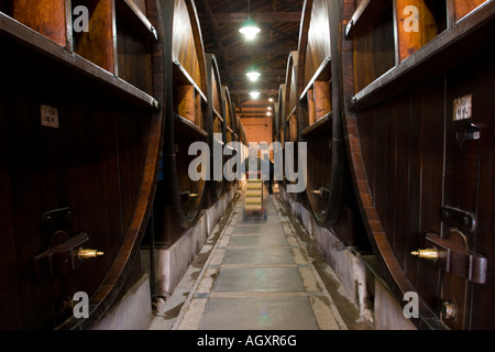 Grand Chêne des tonneaux de vin dans la région de Bodega La Rural, Buenos Aires, Argentine. Musée du vin. Banque D'Images