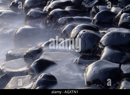 Giant's Causeway, colonnes de basalte érodé, Antrim, en Irlande du Nord, Royaume-Uni Banque D'Images