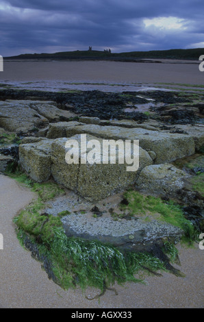 Château de Dunstanburgh avec des roches couvertes d'algues et de la plage de sable fin Banque D'Images
