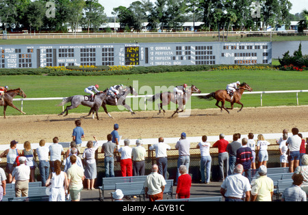 Courses de chevaux pur-sang Downs Tampa Bay Floride FL Tampa Banque D'Images