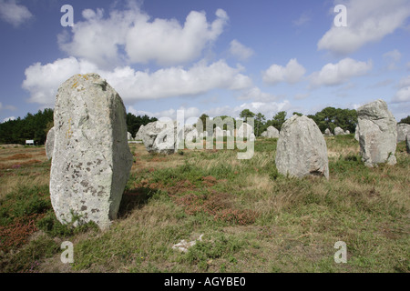 Alignements de Kermario néolithique menhirs menhirs mégalithiques préhistoriques Fin de l'âge de pierre près de Carnac Bretagne France Banque D'Images