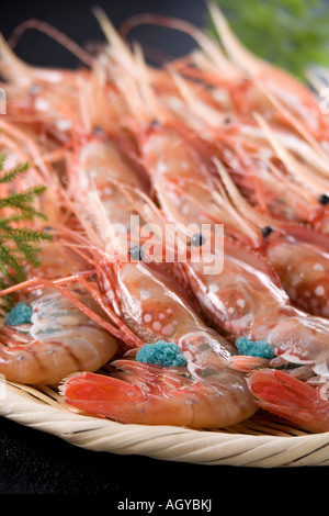 Crevettes roses Banque D'Images