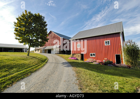 La vie Amish à Millersburg et Sugar Creek Holms Ohio Comté Scène agricole Banque D'Images