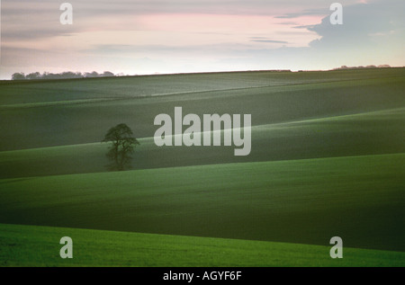 Entre les collines de Lone Tree Banque D'Images