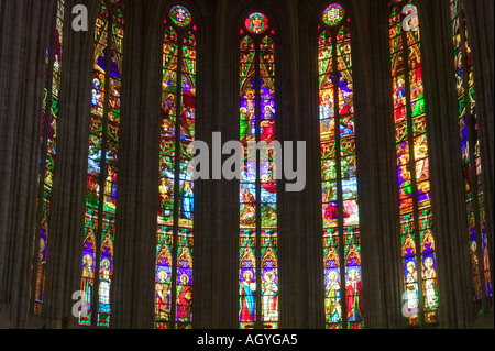 France - cathédrale Saint Fulcran de Lodève en Languedoc Roussillon Banque D'Images