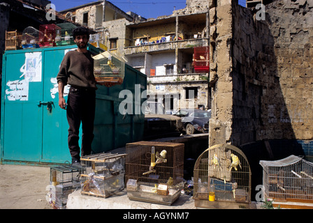 Vendre des oiseaux sur l'homme sur la route que utiliser pour être l'ancienne ligne verte séparant Beyrouth Ouest d'est Beyrouth au Liban en temps de guerre Banque D'Images