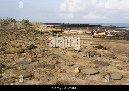 Balades touristiques sur Punta Egas Baie James Galápagos Banque D'Images