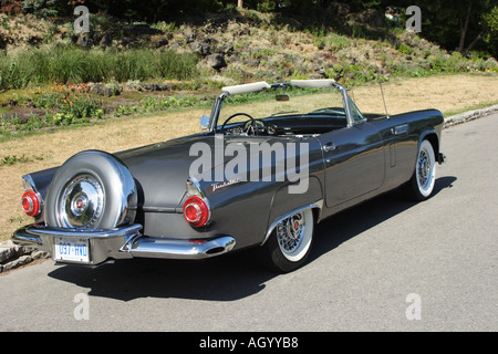 1956 Ford Thunderbird Banque D'Images