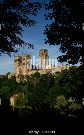 Cathédrale de Durham et le vieux moulin à foulon, rivière d'usure, Durham, County Durham, England, UK Banque D'Images