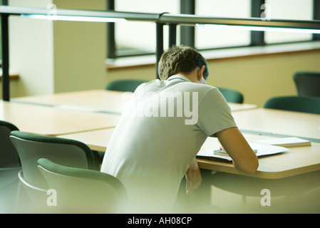 Male student studying, vue arrière Banque D'Images